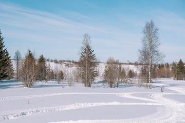 Traces of snowman in the forest. Snowmobile ride. On a snowmobile in the forest. Winter landscape.