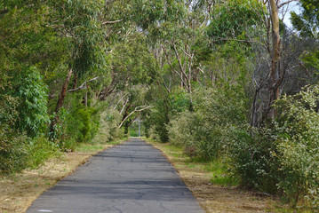 Fototapeta premium Straight walking path in park