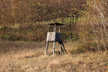 Vintage small wooden dilapidated hunting observation tower with improvised ladders surrounded with high dry grass and dense trees on warm sunny day