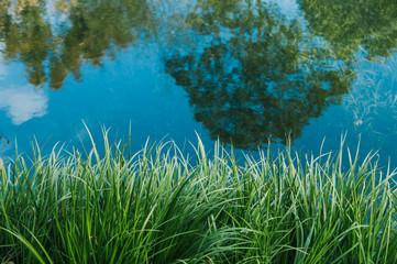 Reflection of green trees and blue sky in the water