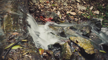 waterfall in the forest
