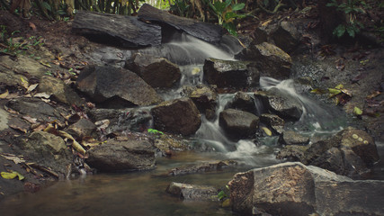 waterfall in the forest
