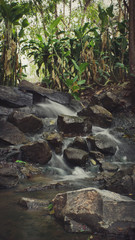 waterfall in the forest