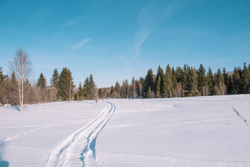 Fototapeta na wymiar Ski trail in the forest. Traasa in the winter forest. The road for walking through the winter forest. Taiga in the winter. Tracks from the snowcat.