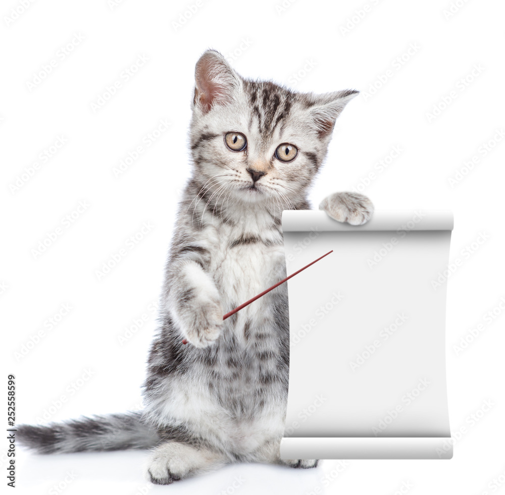 Poster Cat pointing on empty list. isolated on white background
