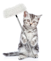 Cleaning concept. Kitten holds mop in paw. Isolated on white background