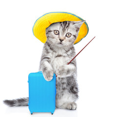 Cute kitten in summer hat holds suitcase and pointing on empty space. isolated on white background