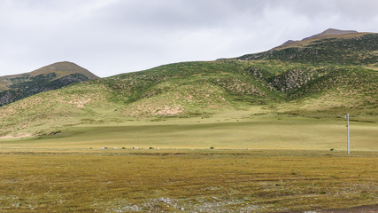 View of grass filed on the east side of the Nyenchen Tanglha Mountains range in Damxung(Dangxiaong)...