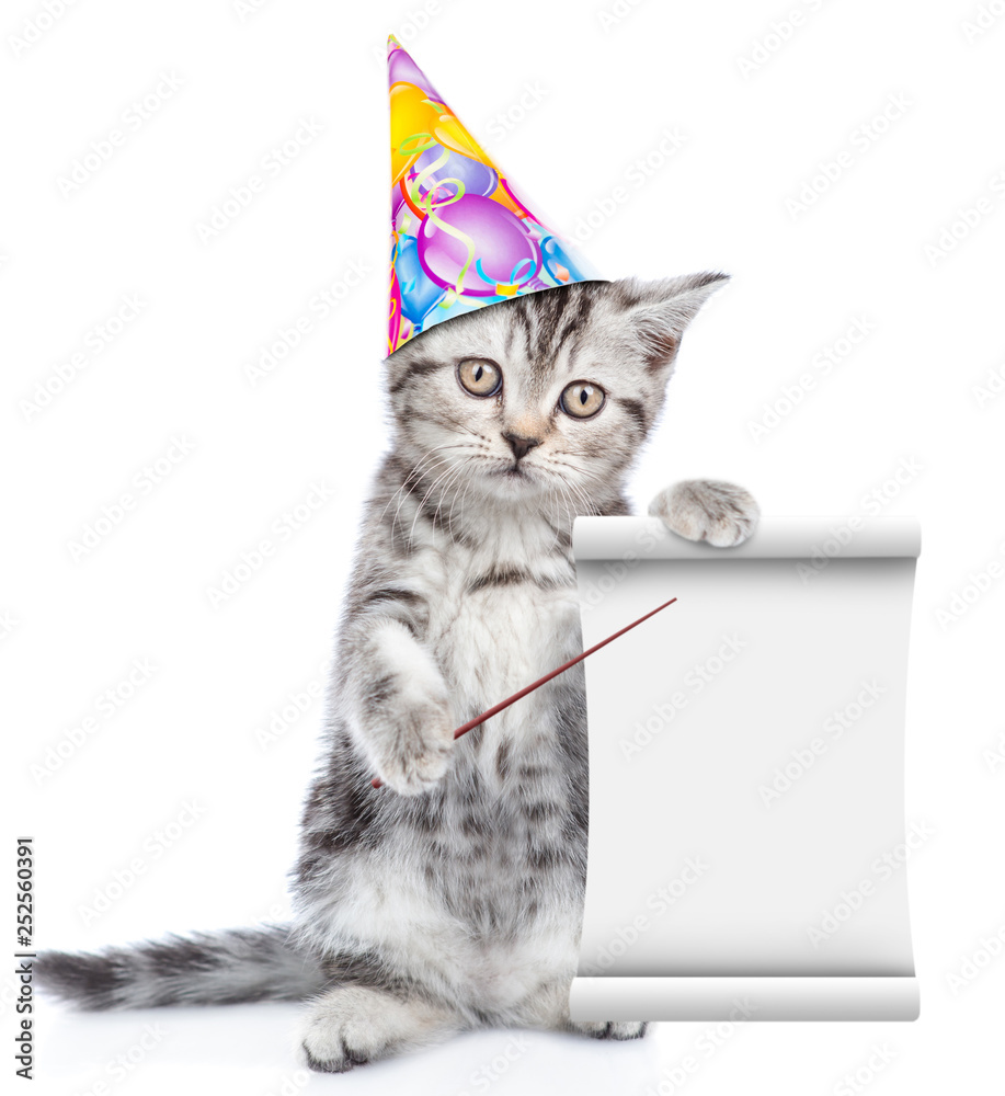 Aufkleber cat in birthday hat pointing on empty list. isolated on white background