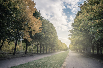 Beautiful autumn in park