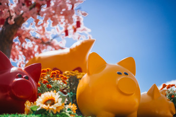 decorative pigs on the background of sakura, decoration for chinese new year