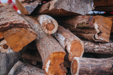 a pile of firewood against the background of the sea and the jungle
