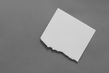 pieces of old torn paper texture background, copy space.
