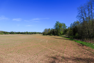 Fototapeta na wymiar Brown agricultural soil on a field