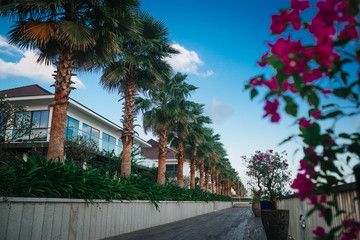 Embankment in Vietnam