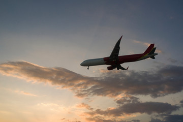 Fototapeta na wymiar plane at sunset is landing