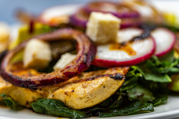 ENSALADA CHILE MULATO NOPALES