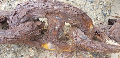 Rusty Chain at Catherine Hill Bay