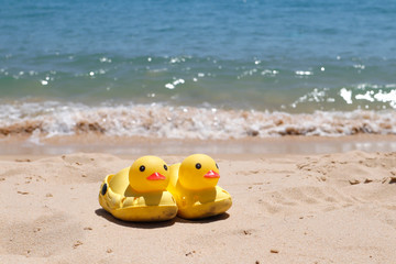 Fototapeta na wymiar Duck slippers on the beach sand