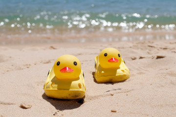 Fototapeta na wymiar Duck slippers on the beach sand