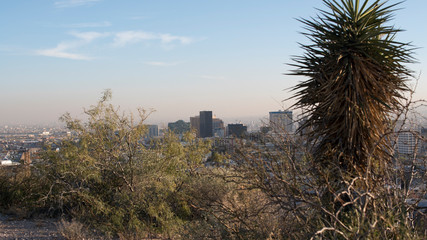 Fototapeta na wymiar City of El Paso with buildings and desert vegetation in a sunny day