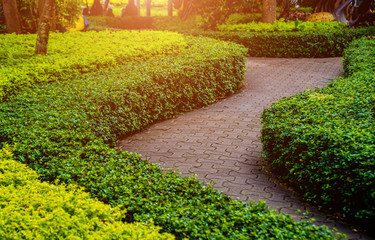 Obraz premium Luxury landscape design of the tropical garden. Beautiful view of tropical landscape