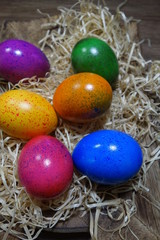 Fototapeta na wymiar Beautiful colorful easter eggs - Easter tradition