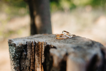 wedding rings