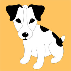 Russell Terrier puppy,   vector illustration,