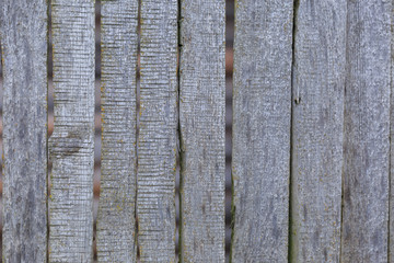 Fototapeta premium A focused photo of seperate isolated logs of a wooden fence in a village