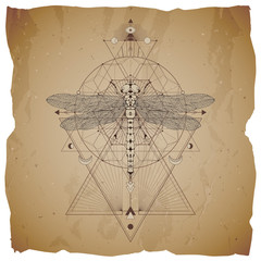 Vector illustration with hand drawn dragonfly and Sacred geometric symbol on vintage paper background with torn edges. Abstract mystic sign. Sepia linear shape.