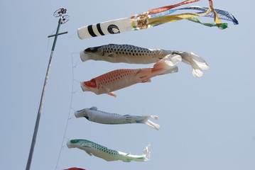 鯉のぼり
