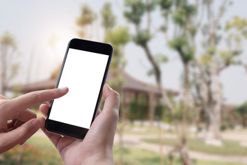 Close up Woman hand Using a Smart Phone with blank screen at hinoki park.
