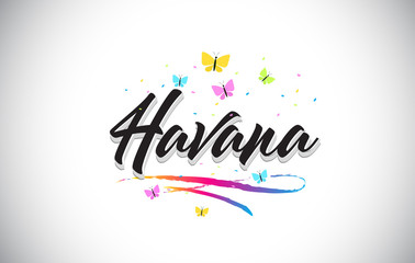 Havana Handwritten Vector Word Text with Butterflies and Colorful Swoosh.