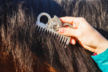 Girl combing black horse mane with a comb © WoodHunt