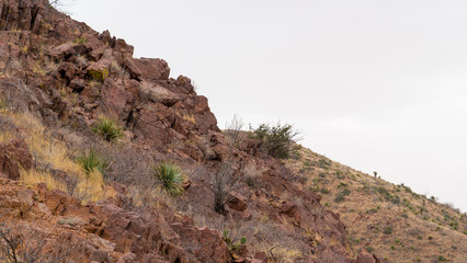 Desert Mountainside in the Southwest El Paso with Vegetation