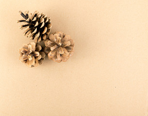 Fototapeta na wymiar Dry Brown Pine Cones Background, Texture or Pattern