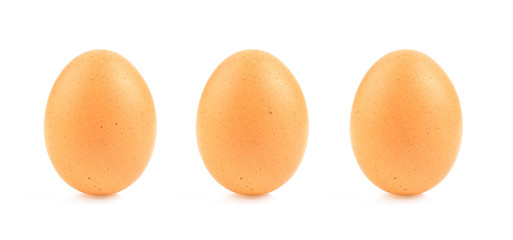 eggs on white background