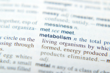 The explanation of Metabolism in dictionary