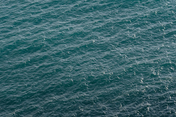 穏やかできれいな海面