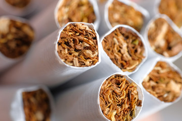 Many cigarettes in white paper. Close up.