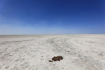 Etosha Pan