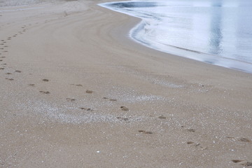 福岡西区海岸砂浜と足跡