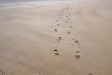 福岡西区海岸砂浜と足跡