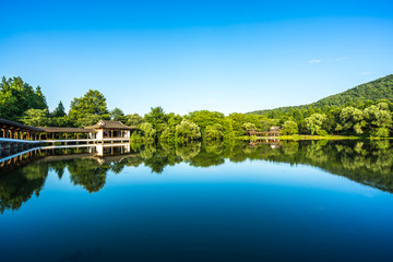 Obraz premium landscape with lake and trees