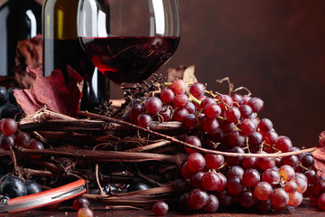 Red wine and  grapes with dried up vine leaves.