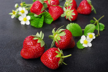 Ripe strawberries with flowers and leaves on a dark background