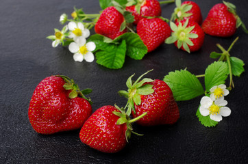 Ripe strawberries with flowers and leaves on a dark background
