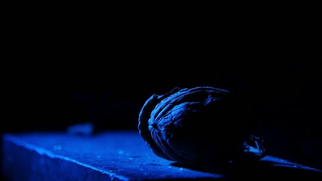 man smashes nuts with a hammer on the anvil in slow motion on black bg with blue light