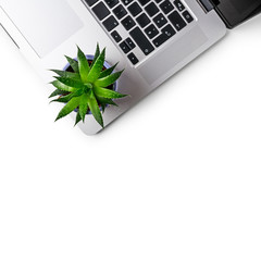 Office table desk. Workspace with laptop and succulent plant isolated on white background clipping path included. Design element. Flat lay, top view.